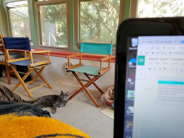 places I write - sun room with computer and cat