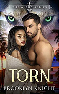 Cover of Torn - interracial paranormal romance