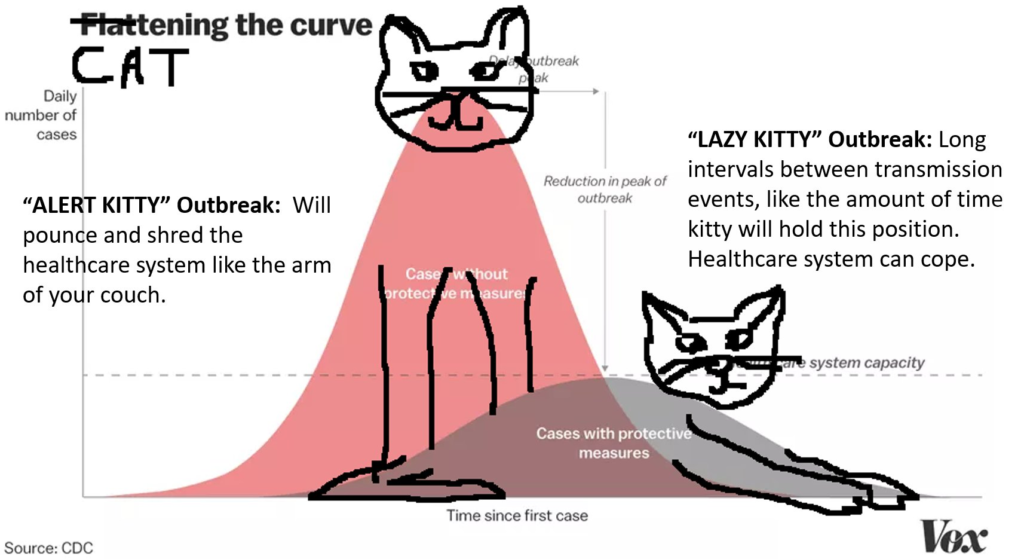 Tips from Carol's Cats includes the CDC "flatten the curve" chart with cats added