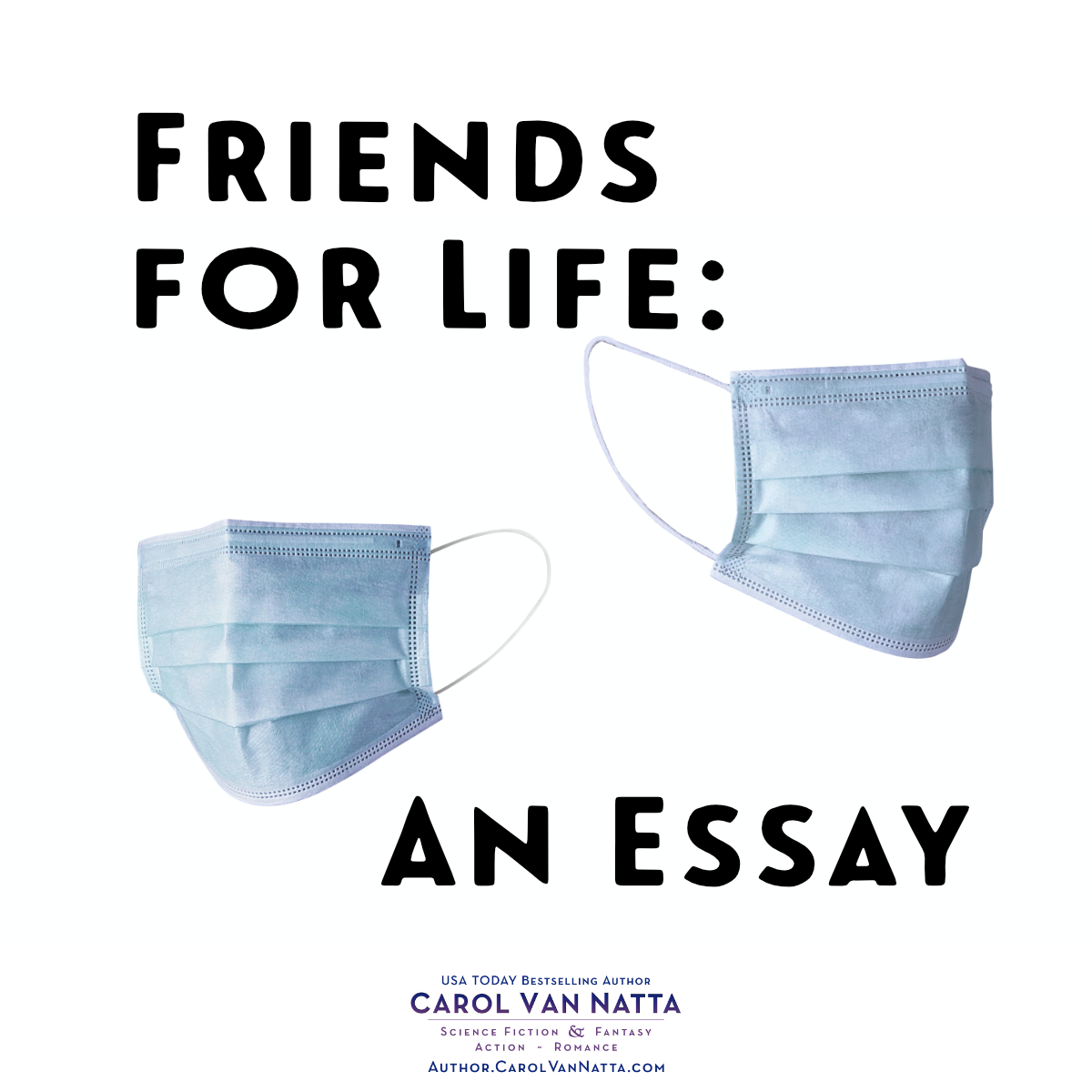 friends for life essay