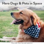 Photo of a dog wearing a bandana with a U.S. flag design, for Hero Dogs and Pets in Space